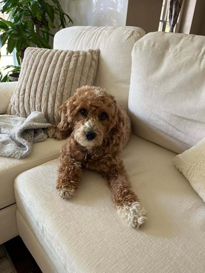 Miss Rosie