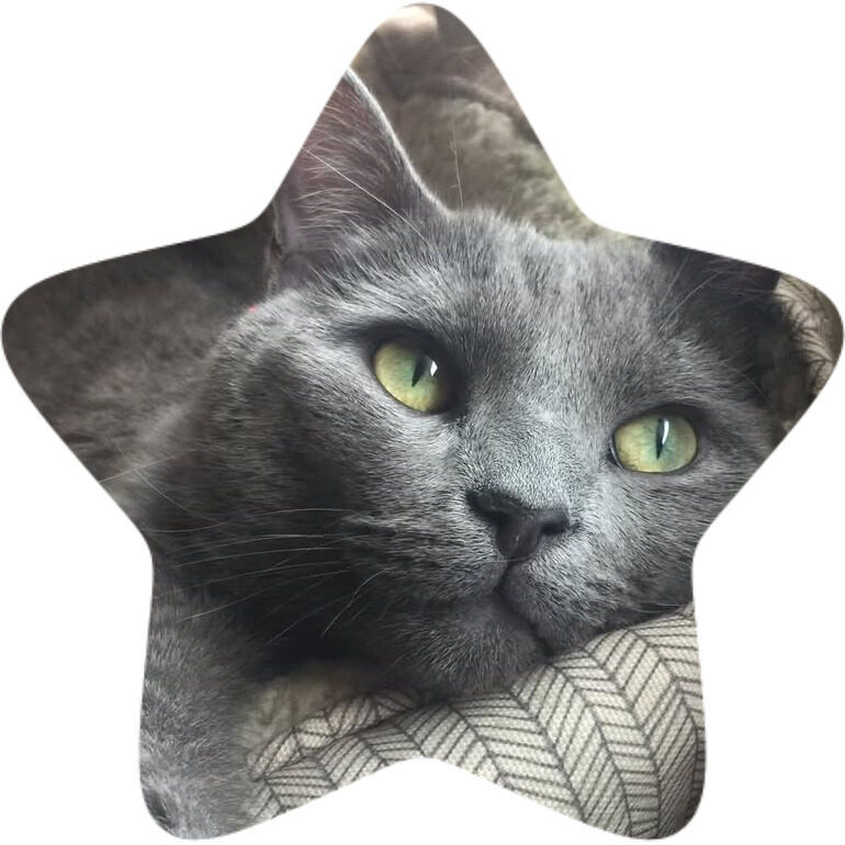 bo