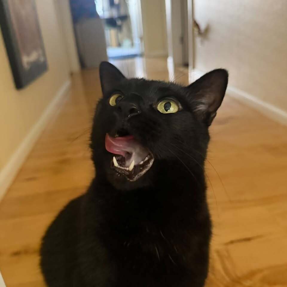Huey